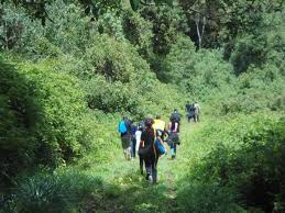 Enjoying Aura Vallis Resort’s Nature Trail: Don’ts for a Great Nature Trail Experience at Aura Vallis Resort